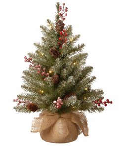 2 ft. Pre-Lit Dunhill Fir Tree with LED Lights