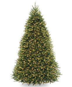 9 ft. Pre-Lit Dunhill Fir Tree with 900 Clear Lights