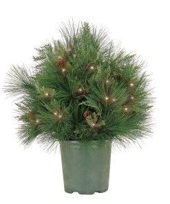 26 in. Pre-Lit HGTV Home Collection Black Tie Planter Filler