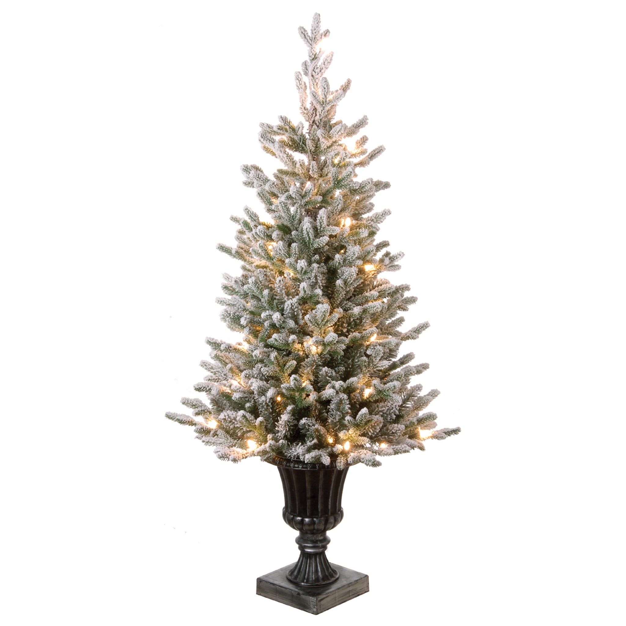 Iceland-Fir.jpg