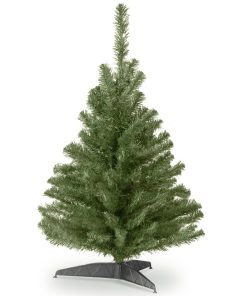 3 ft. Kincaid Spruce Tree