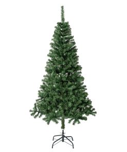 6 ft. Linden Spruce Tree
