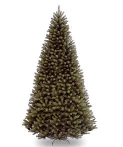 10 ft.  North Valley Spruce Tree