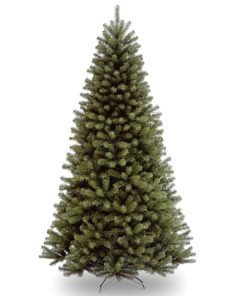 7 ft. North Valley Spruce Tree