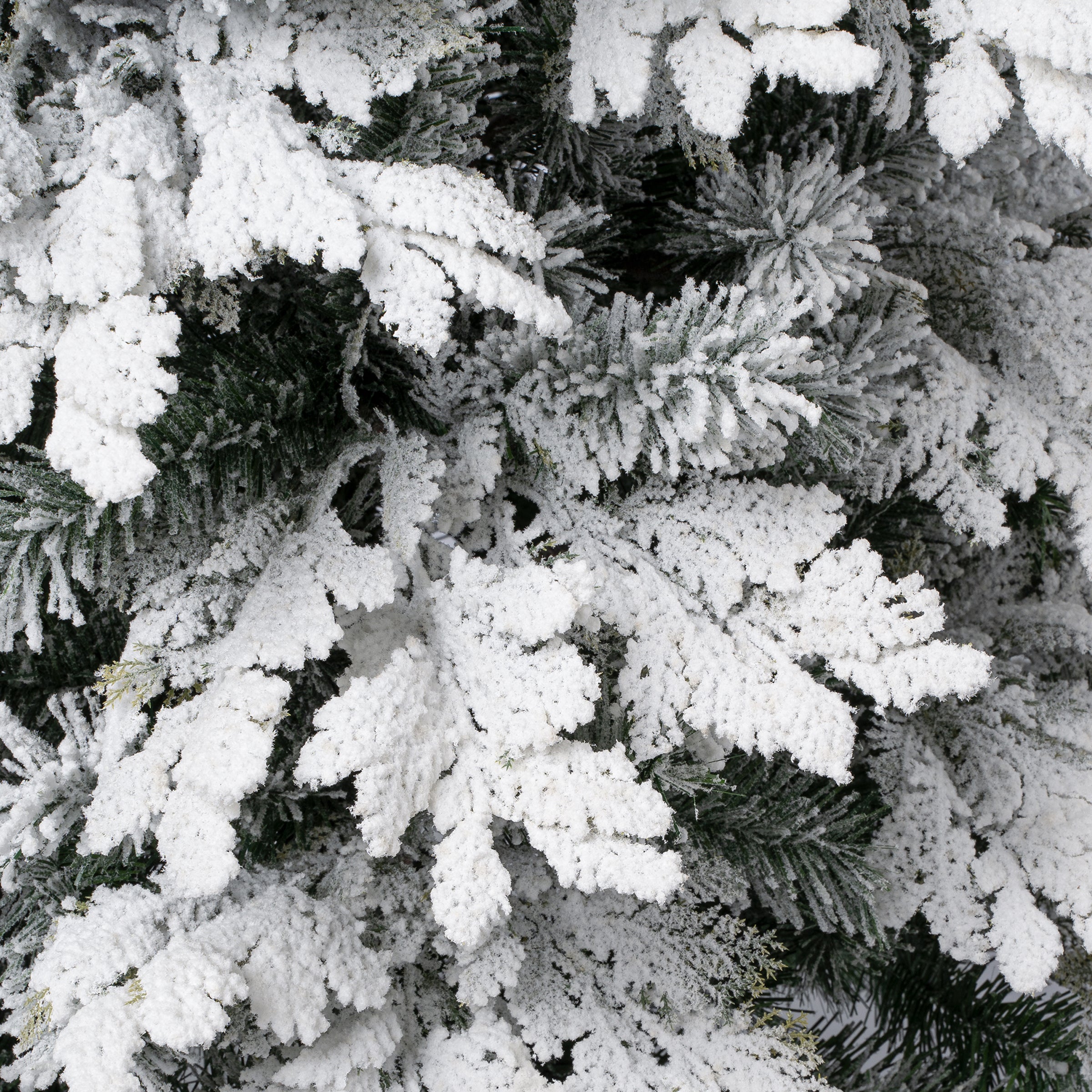 PEACA8-500-60F_3.jpg