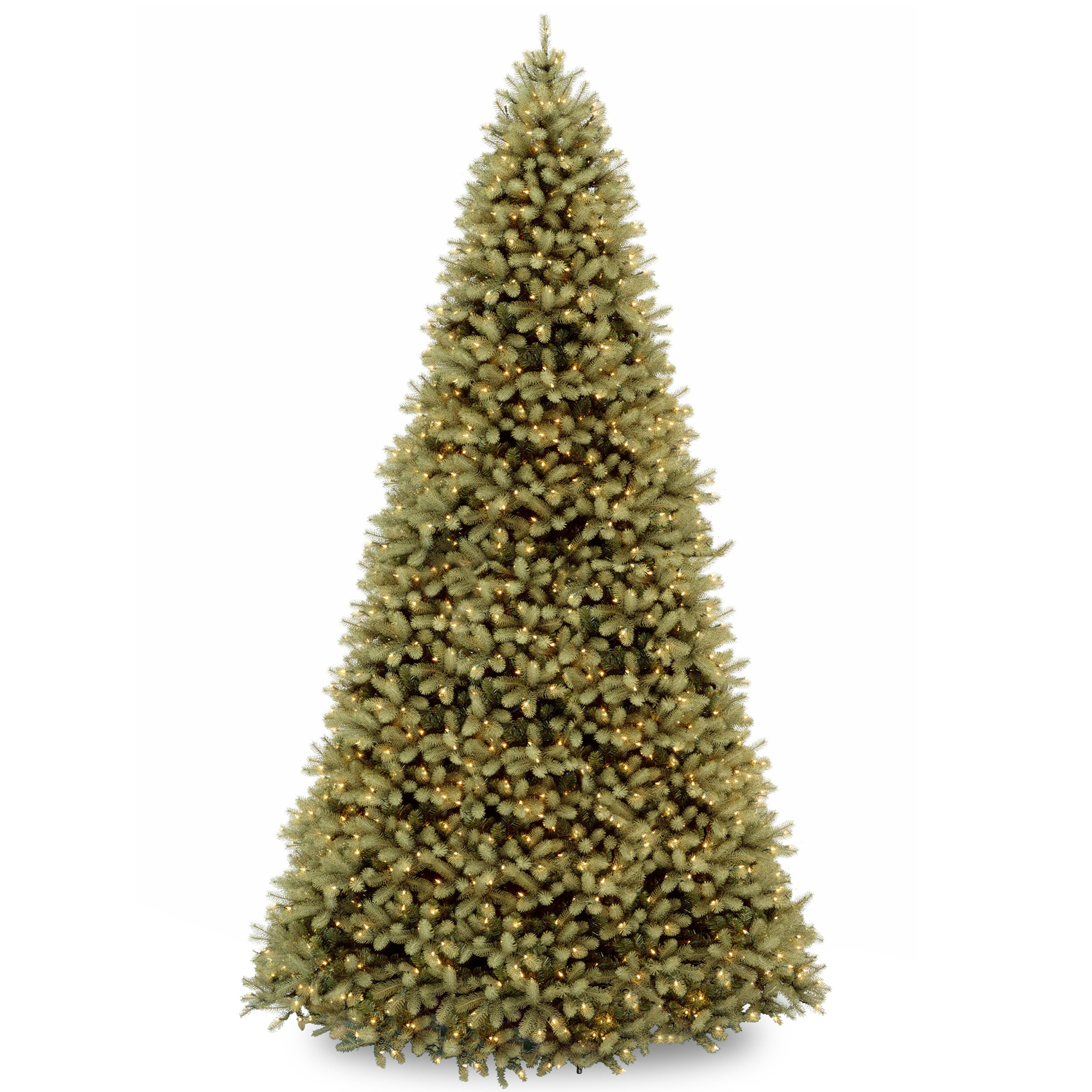 PEDD1-312-120.jpg