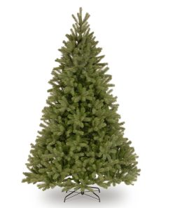 7.5 ft. Downswept Douglas Fir Tree