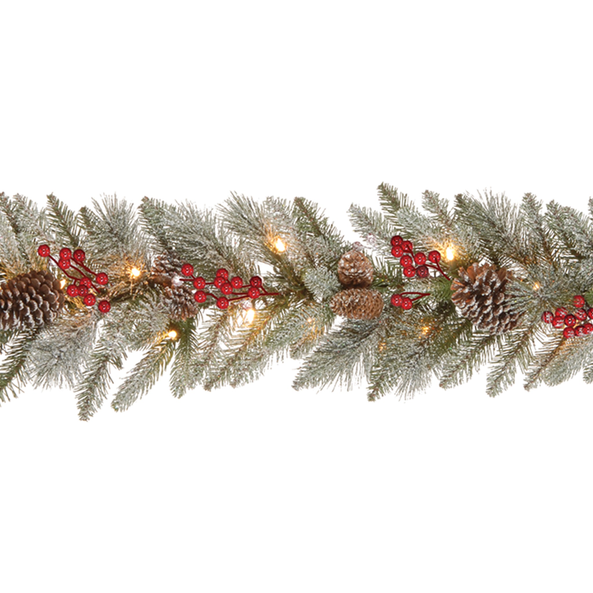 Snowy-Bristle-Berry_0e19fa27-82d6-46c8-aa0c-a1b482f86b9a.jpg