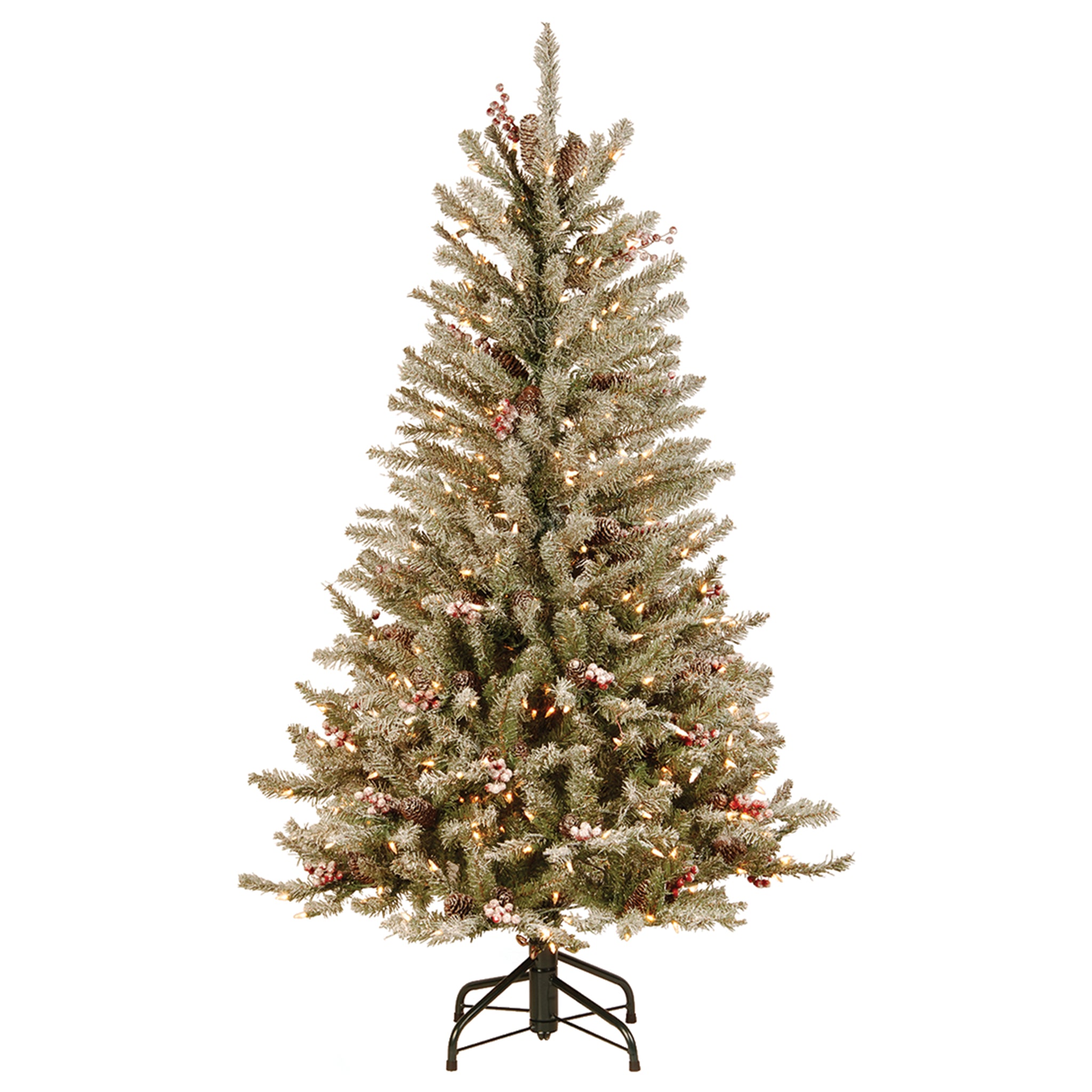 Snowy-Dunhill-Fir.jpg
