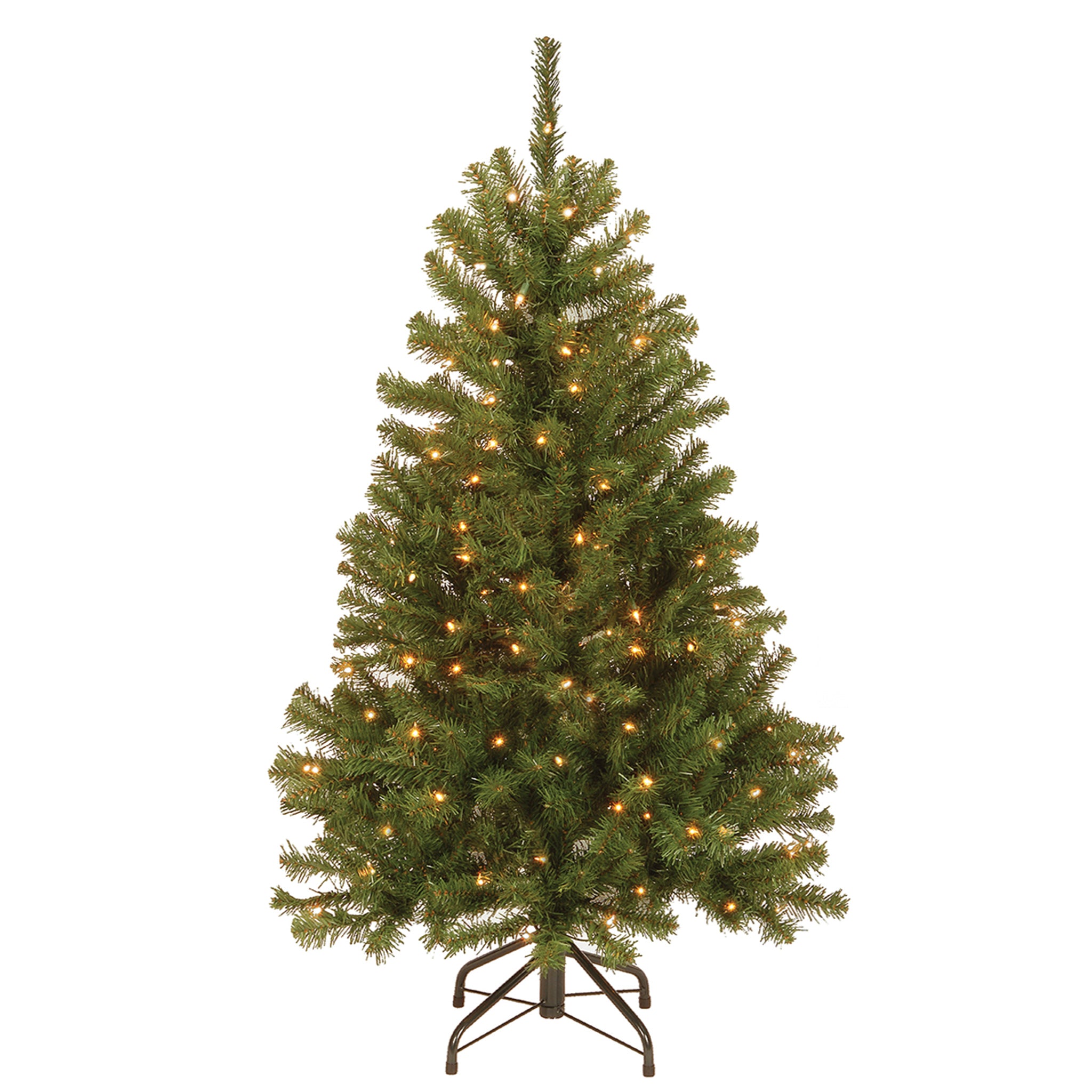 north-valley-spruce-tree.jpg