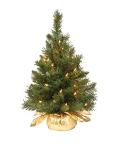 2 ft. Pre-Lit Majestic Fir Tree with Clear Lights. Gold Base