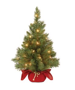2 ft. Pre-Lit Majestic Fir Tree with Clear Lights. Burgandy Base