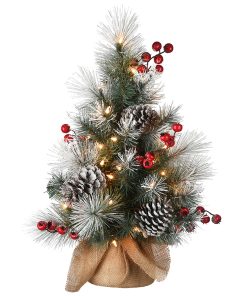 2 ft. Snowy Glacier Pine Tree with Warm White LED Lights
