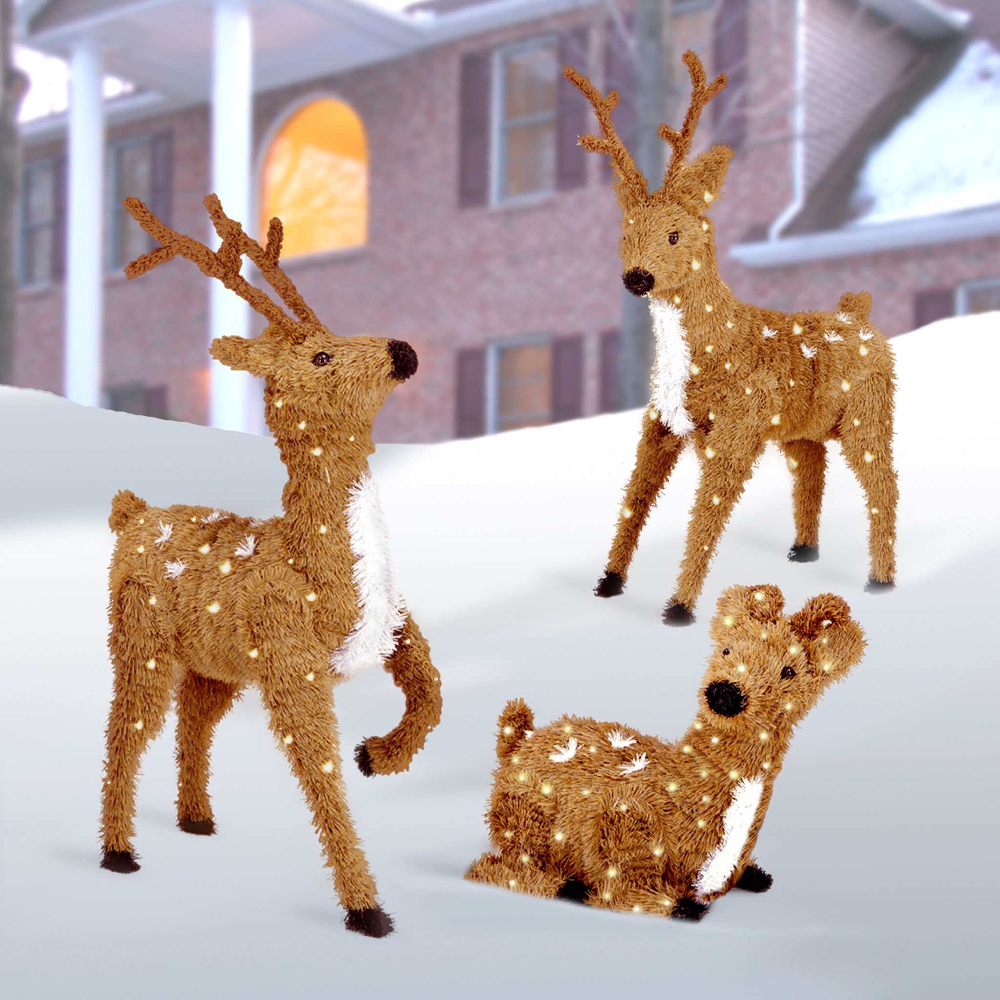 website-images-pre-lit-decorations_0000s_0003_CI7-DBR-24RLO_4_b5e160e5-1a60-4d78-8019-a37bb123b069.jpg