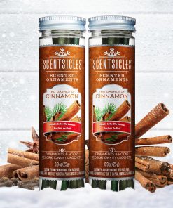 Scented Ornaments. 2-Pack- 6ct Bottle. 2 Dashes of Cinnamon. Fragrance-Infused Paper Sticks