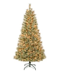 6 ft. Pre-Lit Arcadia Pine Cashmere with Clear Lights