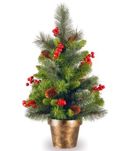 2 ft. Crestwood Spruce Tree