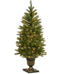 4 ft. Pre-Lit Dunhill Fir Entrance Tree with Clear Lights