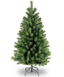 4 ft. North Valley Spruce Tree