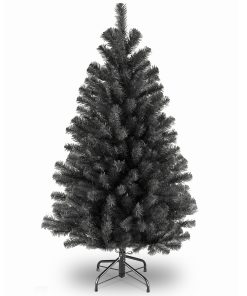 4.5 ft. North Valley Black Spruce Tree