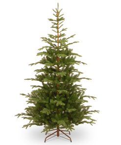 7.5 ft. Norwegian Spruce Tree
